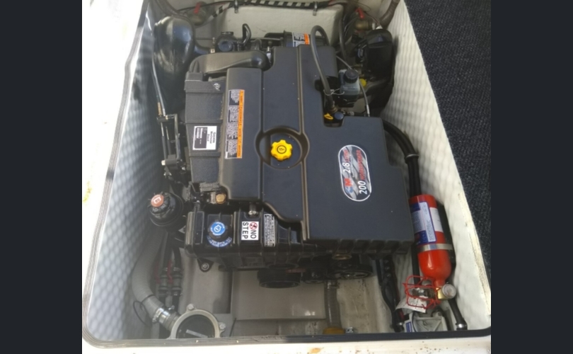 Bella Falcon 26 Fantino-kuva-3